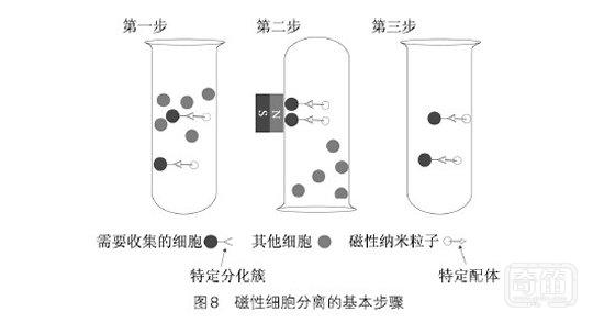 未来的房子都飘在空中？